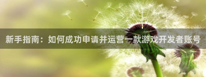 db电竞官网登录注册账号是什么样的：新手指南：如何成功申请并运营一款游戏开发者账号