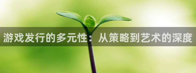 db电竞官网登录注册账号失败怎么回事：游戏发行的多元性：从策略到艺术的深度