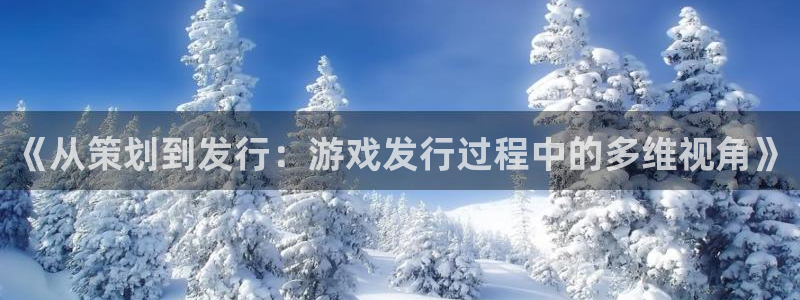 db电竞官网的奇趣腾讯是真的吗吗：《从策划到发行：游戏发行过程中的多维视角》