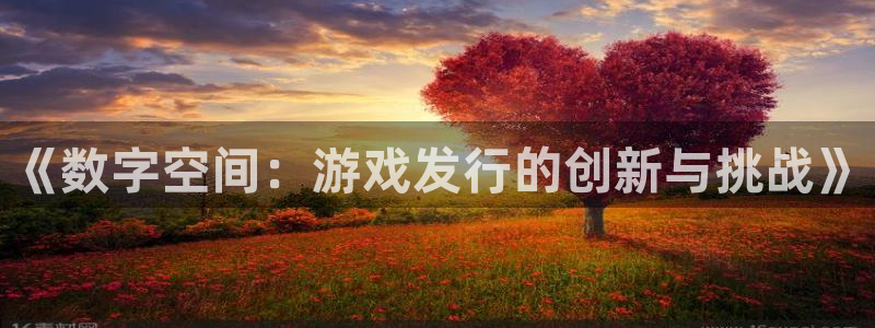 db电竞官网注册登录失败：《数字空间：游戏发行的创新与挑战》
