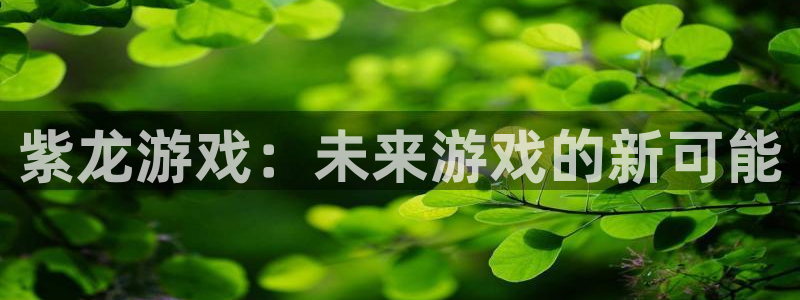 陕西db电竞子文化创意是干什么的：紫龙游戏：未来游戏的新可能