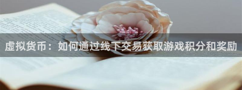 db电竞校服：虚拟货币：如何通过线下交易获取游戏积分和奖励