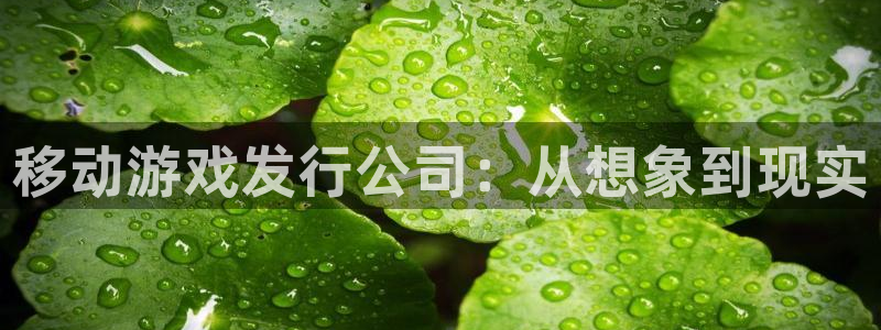 db电竞品牌logo：移动游戏发行公司：从想象到现实