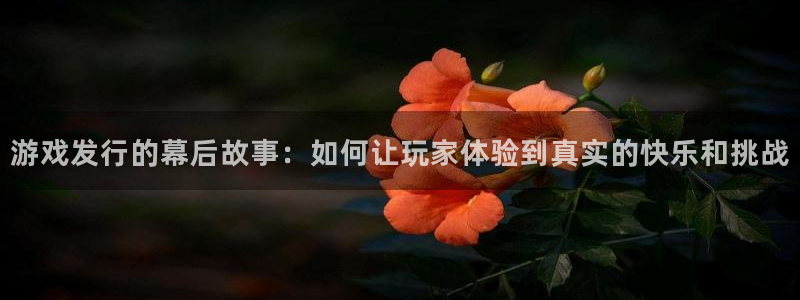 db电竞官网分红：游戏发行的幕后故事：如何让玩家体验到真实的快乐和挑战