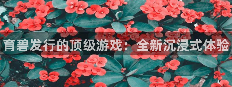db电竞官网注册方法是什么软件：育碧发行的顶级游戏：全新沉浸式体验