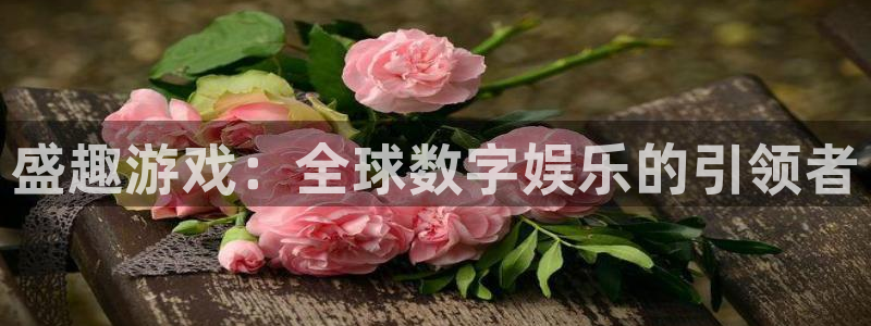 db电竞官网的奇趣腾讯是真的吗还是假的：盛趣游戏：全球数字娱乐的引领者