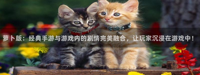 db电竞官网官网注册账号是什么：萝卜版：经典手游与游戏内的剧情完美融合，让玩家沉浸在游戏中！