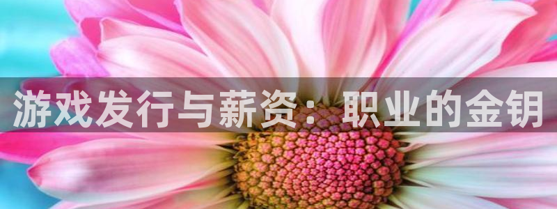 db电竞官网游戏平台高奖金玩法：游戏发行与薪资：职业的金钥