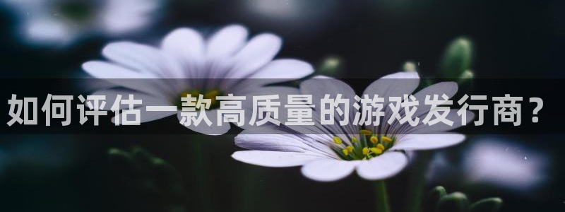 db电竞超纯啤酒怎么样：如何评估一款高质量的游戏发行商？
