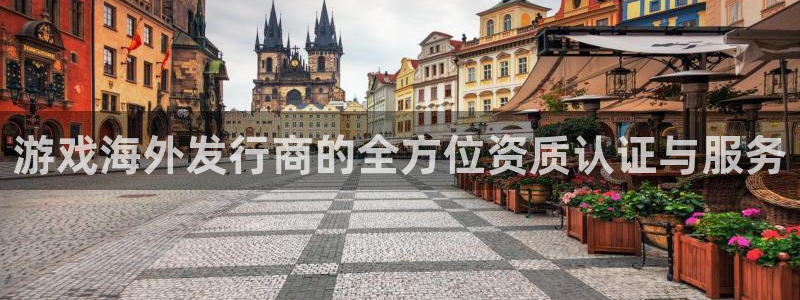 db电竞子公司怎么样知乎：游戏海外发行商的全方位资质认证与服务