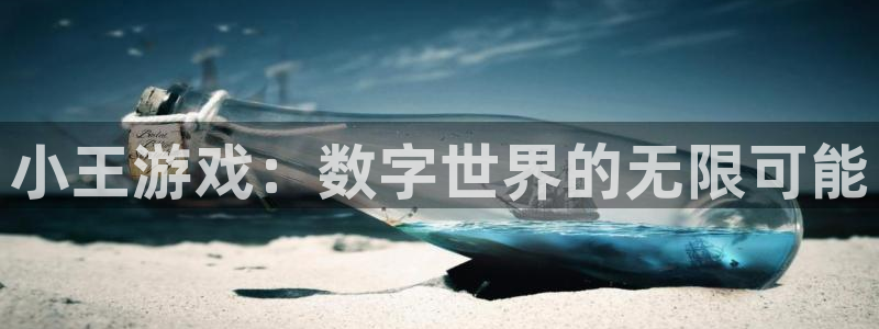 db电竞电子商务有限公司怎么样啊：小王游戏：数字世界的无限可能
