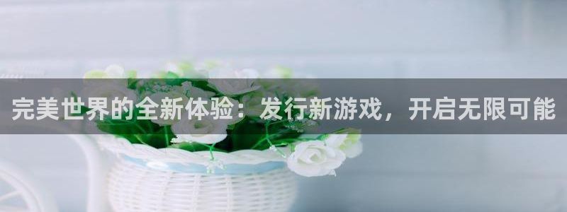 db电竞官网平台代理条件如何：完美世界的全新体验：发行新游戏，开启无限可能