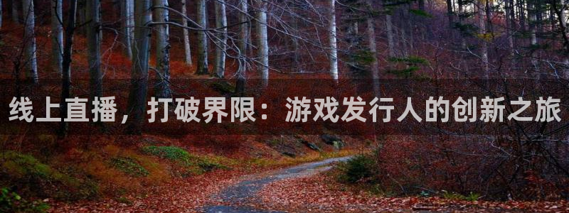 db电竞子文化有什么游戏：线上直播，打破界限：游戏发行人的创新之旅