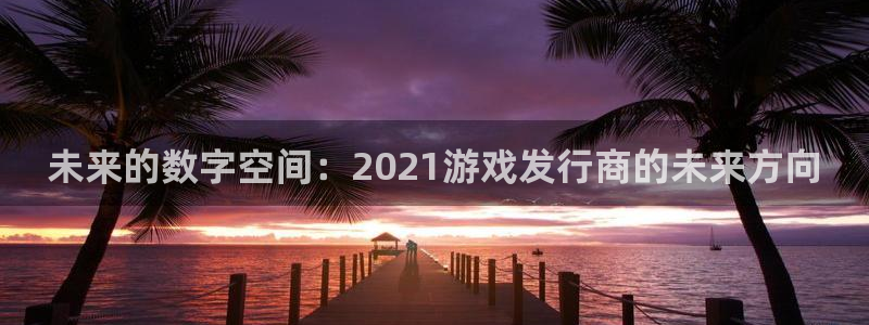 db电竞子酒业：未来的数字空间：2021游戏发行商的未来方向