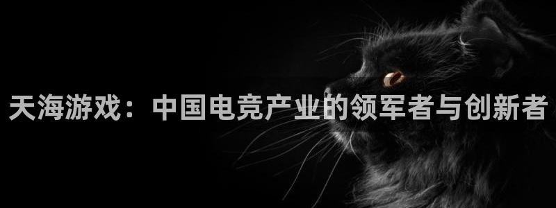 db电竞官网登录注册账号是什么意思：天海游戏：中国电竞产业的领军者与创新者