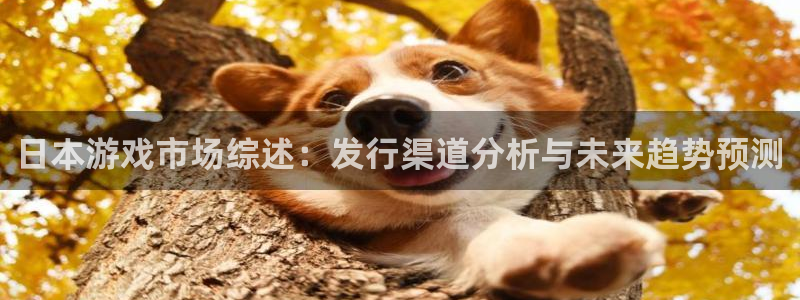 db电竞官网客服服务电话：日本游戏市场综述：发行渠道分析与未来趋势预测