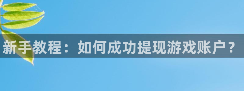 db电竞集团公司怎么样：新手教程：如何成功提现游戏账户？