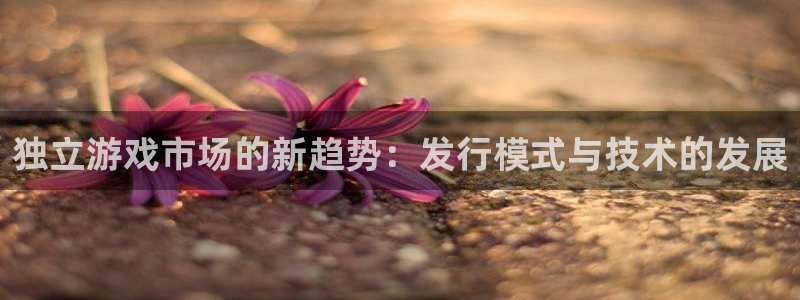 法国db电竞官网：独立游戏市场的新趋势：发行模式与技术的发展